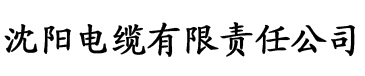 中文字幕理论片在线观看电缆厂logo